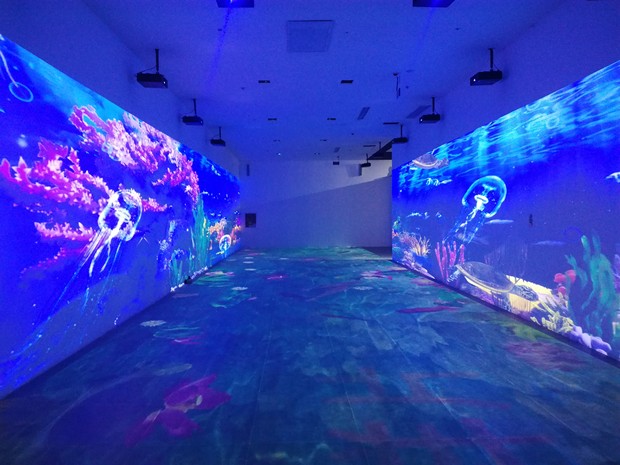 多媒體道德與法制展館,多媒體數(shù)字展廳,多媒體法制教育展館設(shè)計(jì),多媒體道德與法制互動(dòng)展品-數(shù)字展廳是從什么時(shí)候出現(xiàn)？_西安一筆一畫科技有限公司